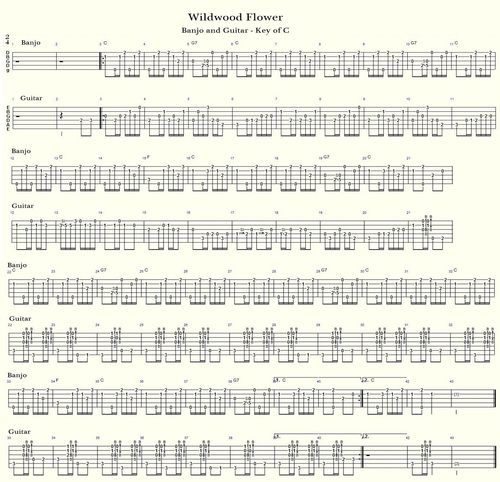 Wildwood Flower - Version 1 - Gitarre und Banjo Tabs