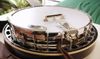 5 String Bluegrass Banjo