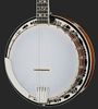 Gold Tone Banjo