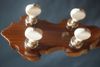 Banjo Tuning Pegs