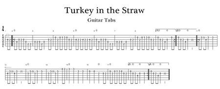 Turkea in the Straw -Gitarre Tabs